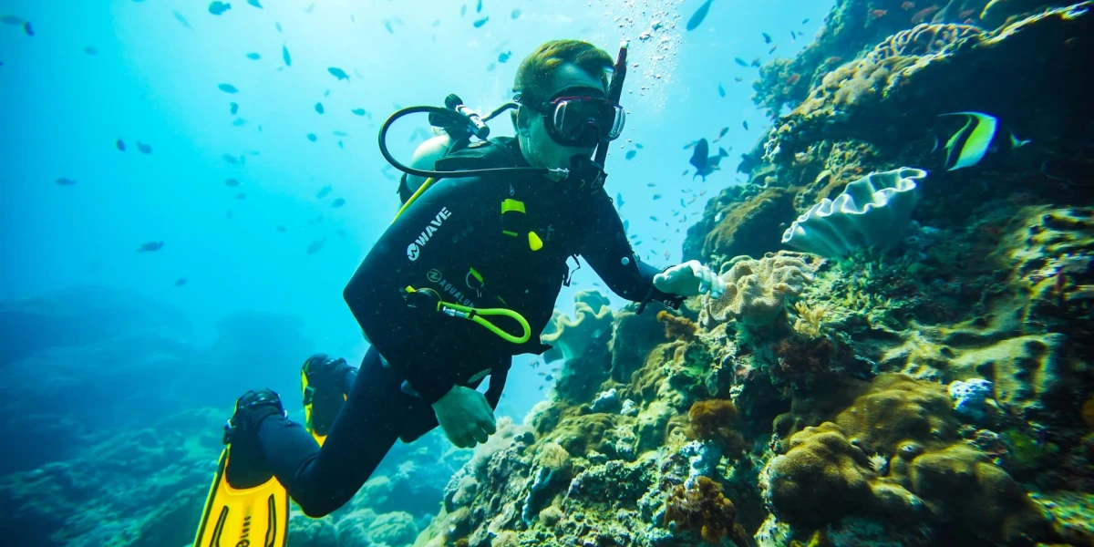 Snorkeling and Diving in Nusa Penida: Discovering the Best Spots