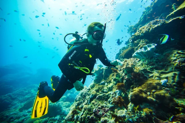 Snorkeling and Diving in Nusa Penida: Discovering the Best Spots